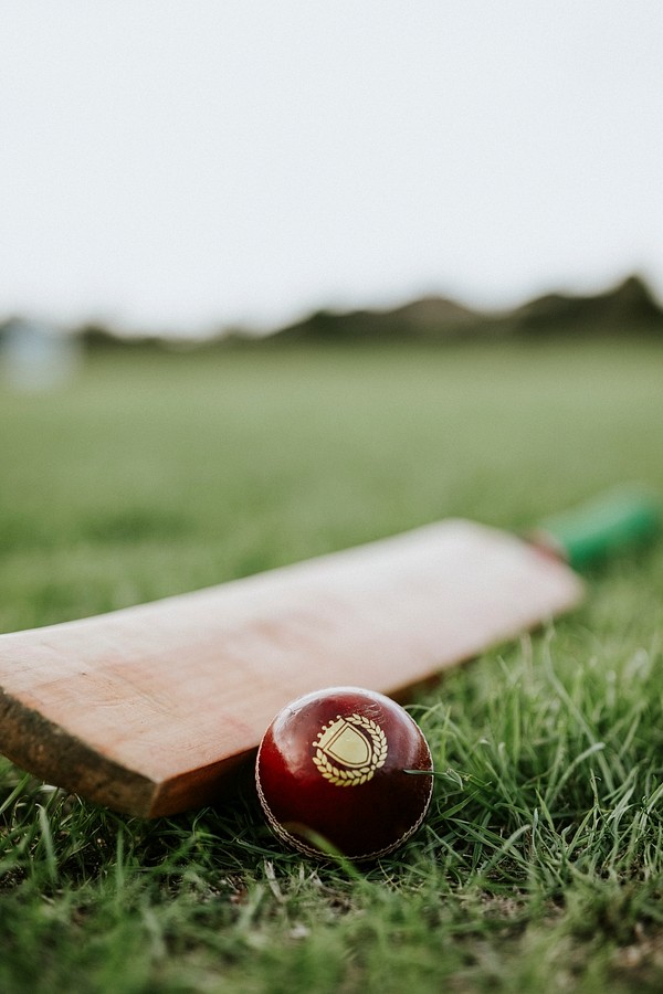 Assessing the reliability of information from social media for cricket betting