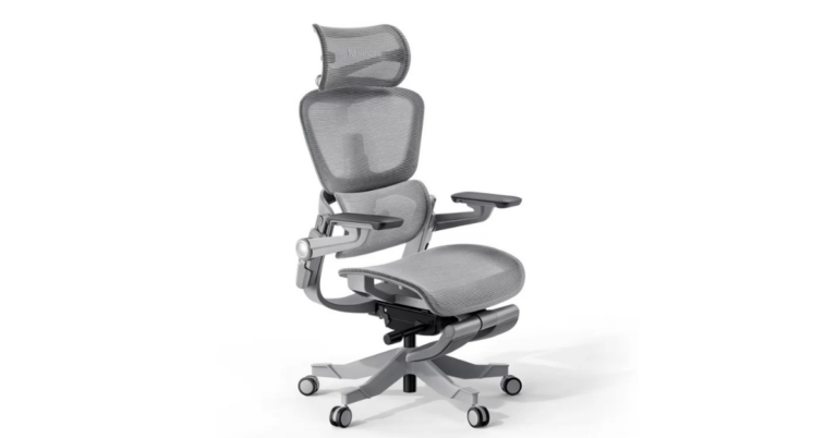 Hinomi vs. NextChair: Which Ergonomic Chair Reigns Supreme?