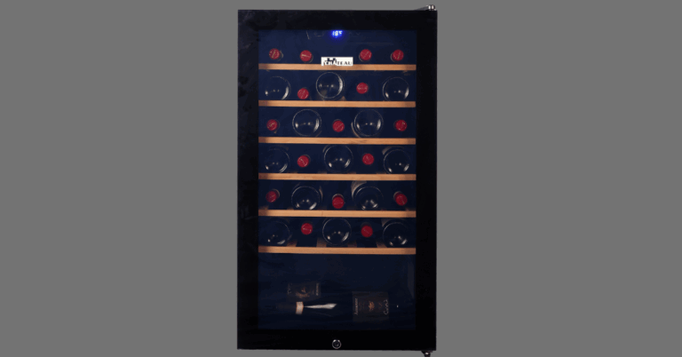 Wine Fridge: The Ultimate Guide for Wine Lovers